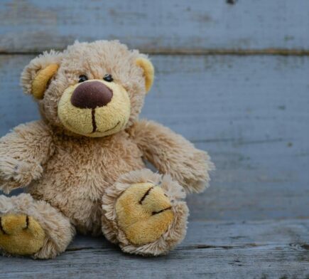 teddybeer als symbool van troost bij omgaan met verdriet
